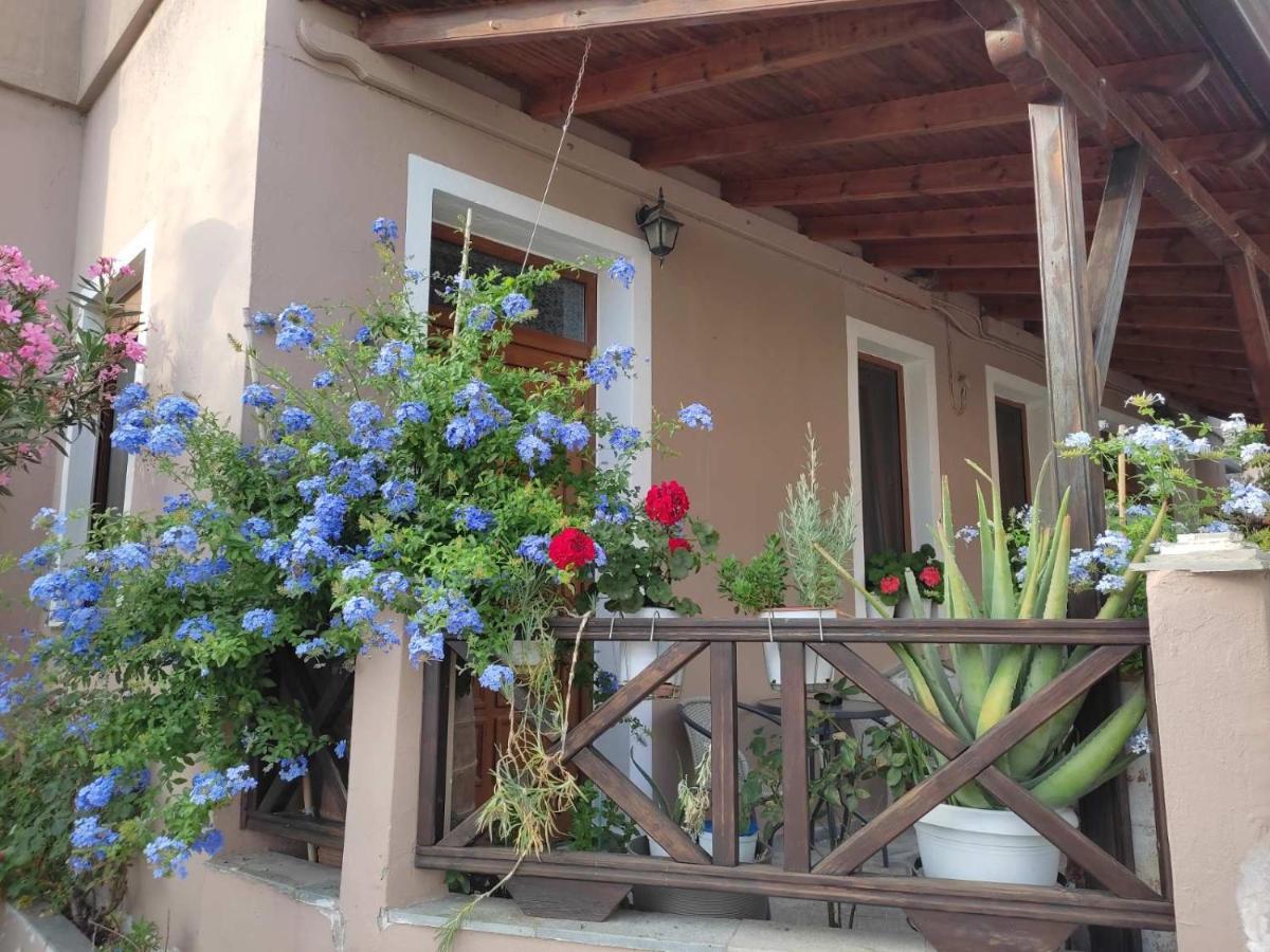Plumbago Apartment Theológosz Kültér fotó